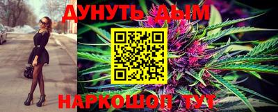 крисы Ставрополь