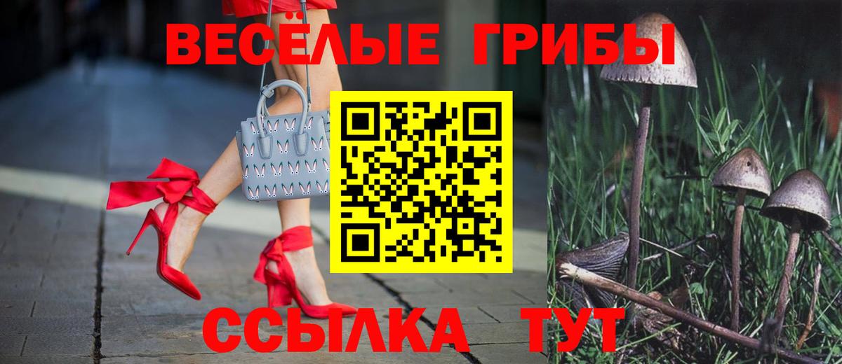 Мыски  Конопля  МЕФ   КОКАИН  Вход с VPN  ГАШ  ЭКСТАЗИ 
