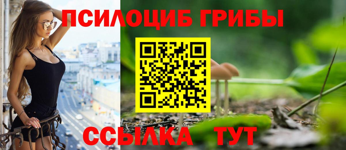 Псилоцибиновые грибы мицелий  Вход с VPN  Мыски 